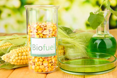 Tivington Knowle biofuel availability